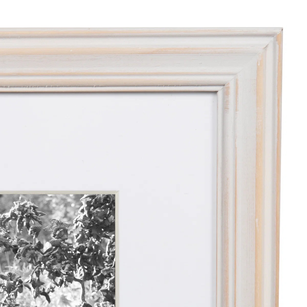 Solid + Manufactured Wood Beveled Picture Frame - Set of 10 with Mat